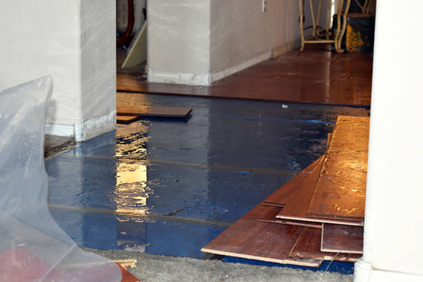 Professional Emergency Water Damage Restoration technician working in Deckerville, MI